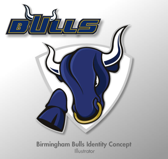 bulls identity package