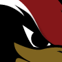 cardinals identity thumbnail
